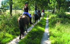 Reitmöglichkeiten in der Umgebung